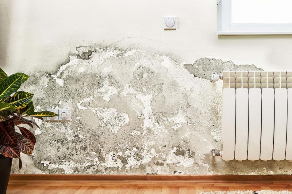 Rising damp - damp problems - PCA